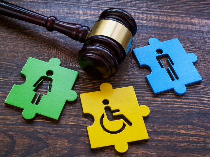 Disability Insurance Law