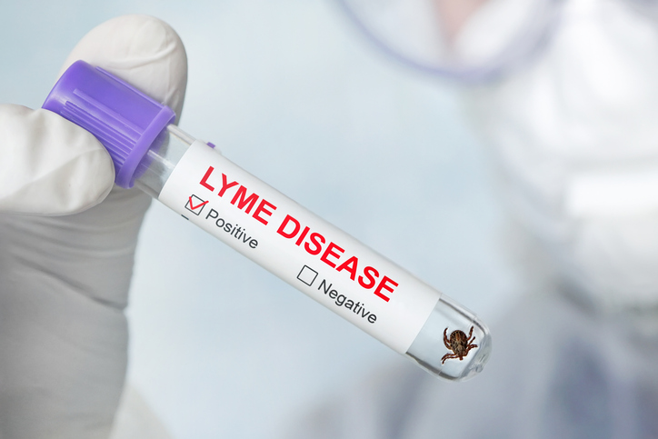 Lyme Disease Disability Claims Attorneys